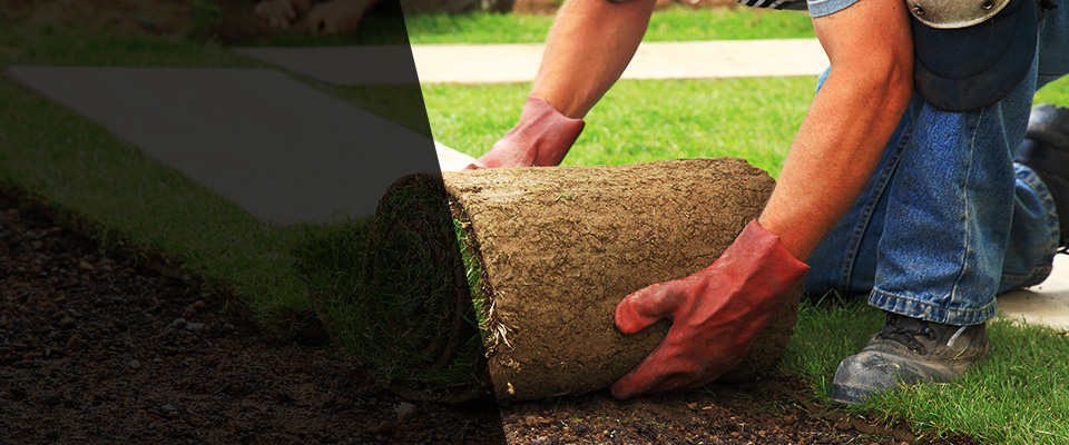 Waukesha Landscapers